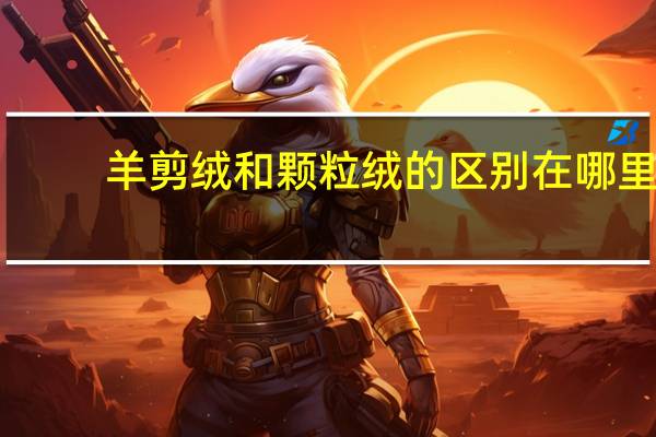 羊剪绒和颗粒绒的区别在哪里