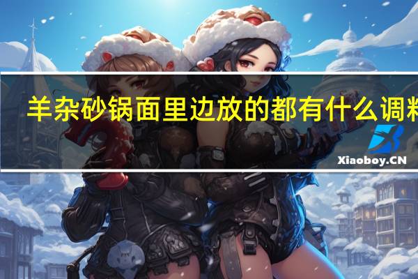 羊杂砂锅面里边放的都有什么调料啊