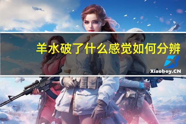 羊水破了什么感觉如何分辨（羊水破了什么感觉）
