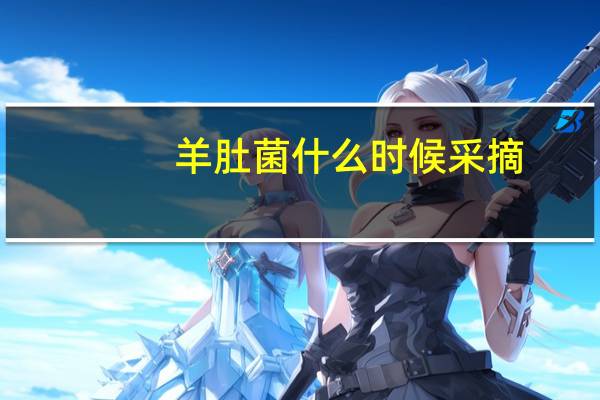 羊肚菌什么时候采摘