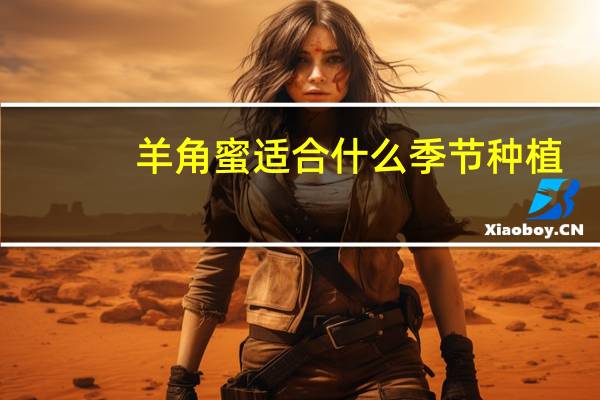 羊角蜜适合什么季节种植