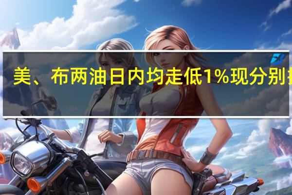 美、布两油日内均走低1%现分别报76.24美元/桶和80.50美元/桶