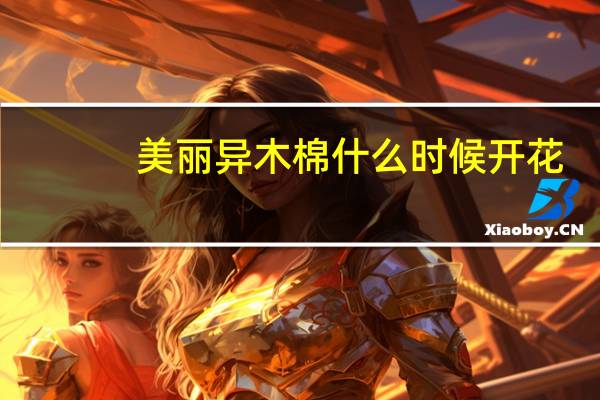 美丽异木棉什么时候开花
