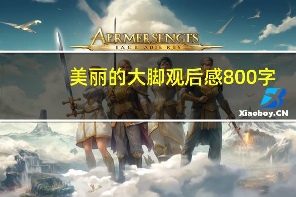 美丽的大脚观后感800字（美丽的大脚观后感）