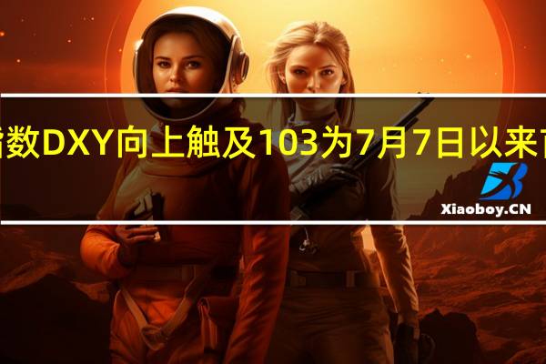 美元指数DXY向上触及103为7月7日以来首次日内涨0.13%