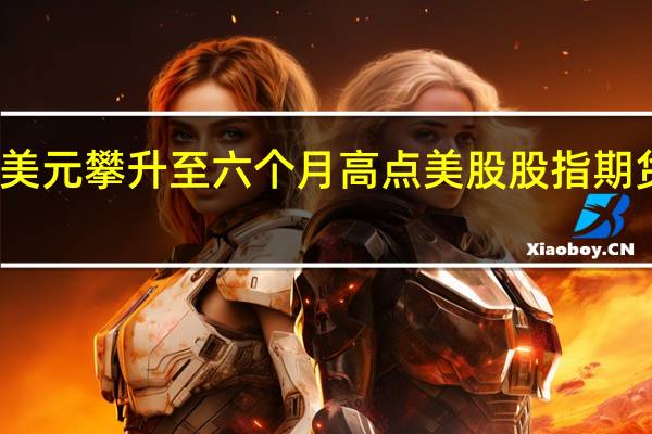 美元攀升至六个月高点美股股指期货走低