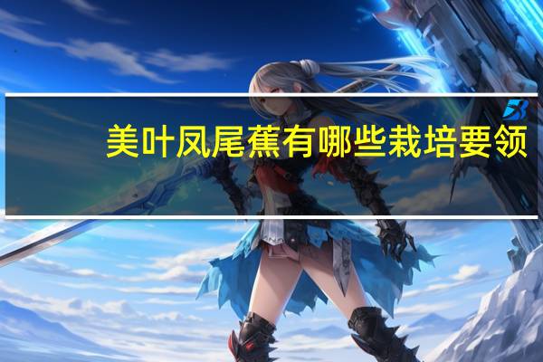 美叶凤尾蕉有哪些栽培要领