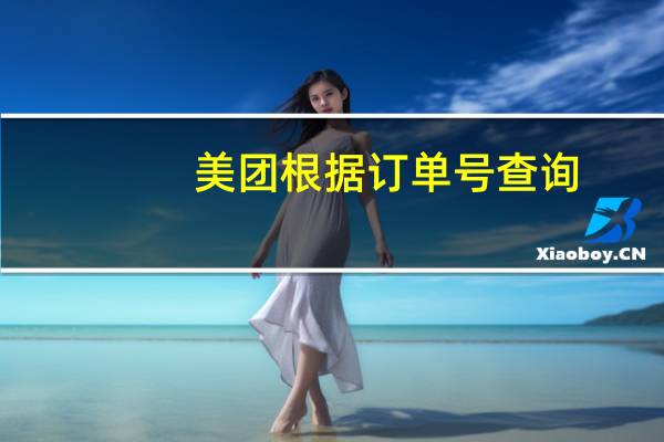 美团根据订单号查询（美团订单号查询系统）
