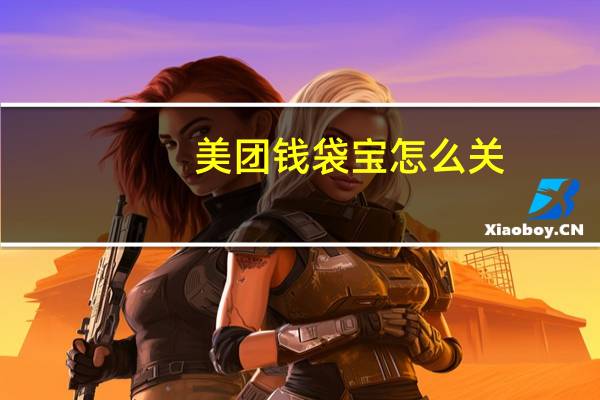 美团钱袋宝怎么关（美团钱袋宝怎么取消）