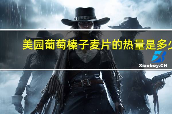 美园 葡萄榛子麦片的热量是多少