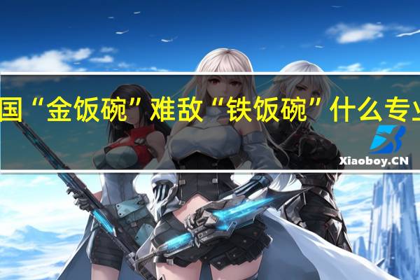 美国“金饭碗”难敌“铁饭碗” 什么专业最吃香