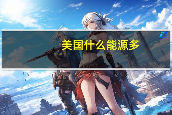 美国什么能源多