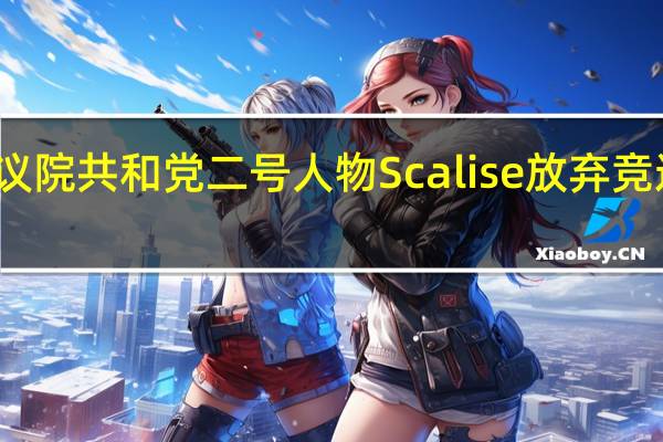 美国众议院共和党二号人物Scalise放弃竞选众议院议长