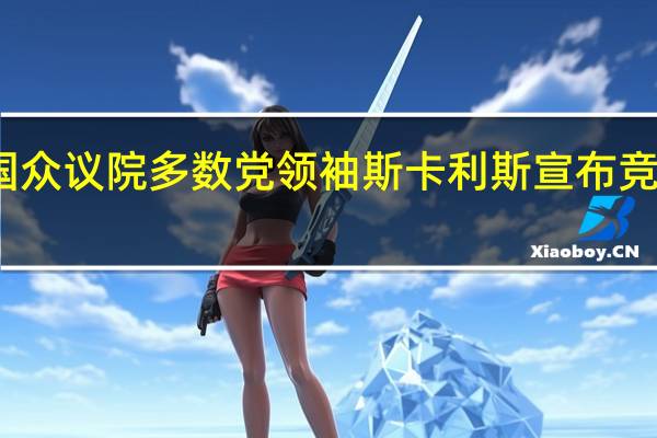 美国众议院多数党领袖斯卡利斯宣布竞选众议长