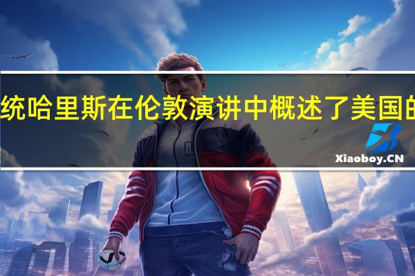 美国副总统哈里斯在伦敦演讲中概述了美国的人工智能战略