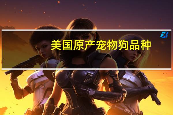 美国原产宠物狗品种