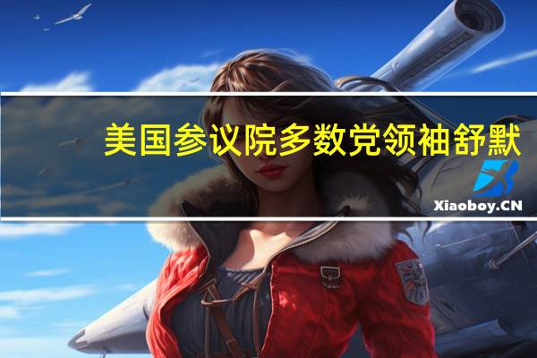 美国参议院多数党领袖舒默：乌克兰和以色列方面的补充法案是参议院往后的优先事项