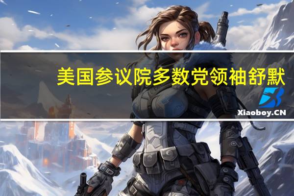 美国参议院多数党领袖舒默：乌克兰总统泽连斯基表示如果没有美国的援助乌克兰将会输掉这场冲突