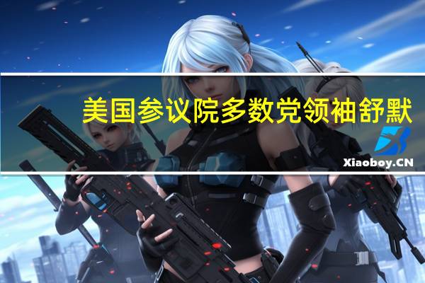 美国参议院多数党领袖舒默：参议院将迅速处理政府资金法案