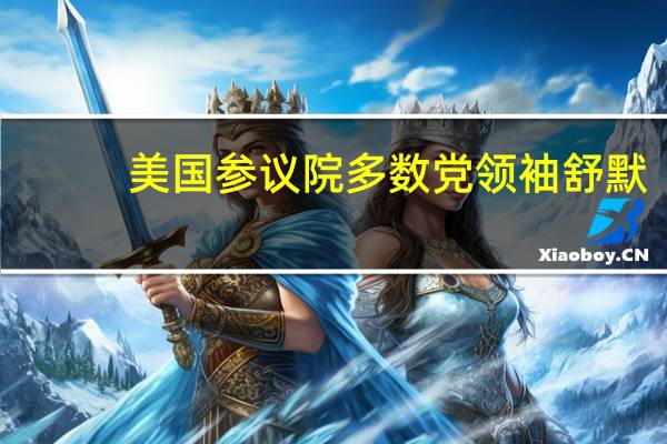 美国参议院多数党领袖舒默：对众议院共和党提出的以色列援助计划深感担忧