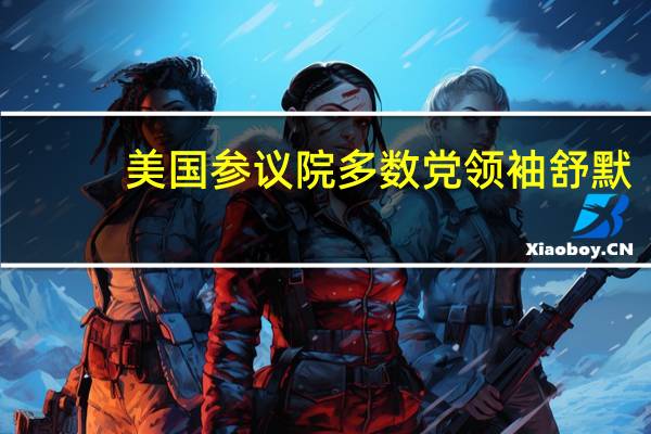 美国参议院多数党领袖舒默：必须通过一项包含对乌克兰援助的资金法案