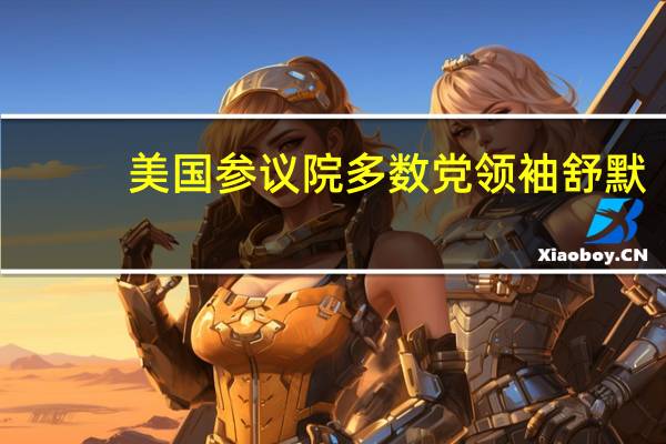 美国参议院多数党领袖舒默：恳请约翰逊议长从以往的政府停摆中吸取教训