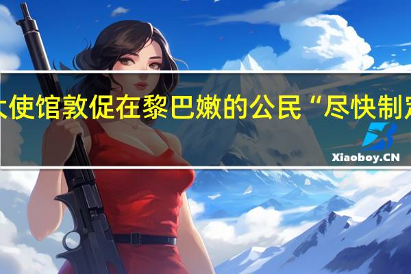 美国大使馆敦促在黎巴嫩的公民“尽快制定离开计划”