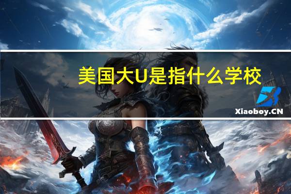 美国大U是指什么学校