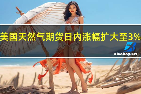 美国天然气期货日内涨幅扩大至3%现报2.628美元/百万英热