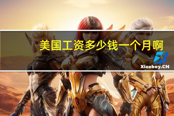 美国工资多少钱一个月啊（美国工资多少钱一个月）