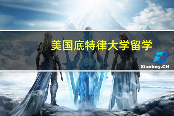 美国底特律大学留学