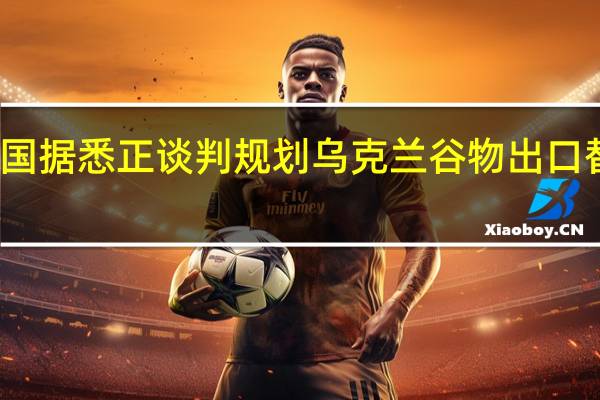 美国据悉正谈判规划乌克兰谷物出口替代路线