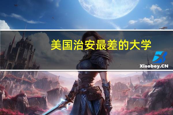 美国治安最差的大学
