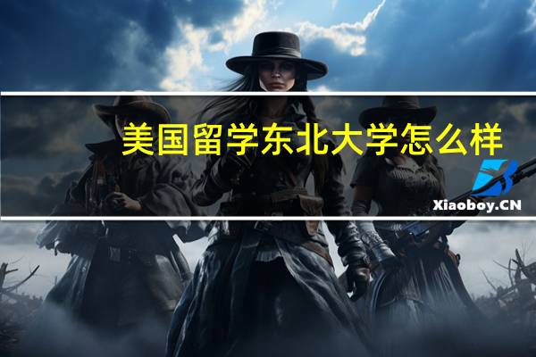 美国留学东北大学怎么样