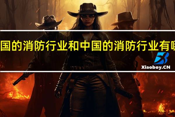 美国的消防行业和中国的消防行业有哪些主要