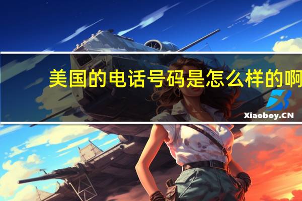 美国的电话号码是怎么样的啊