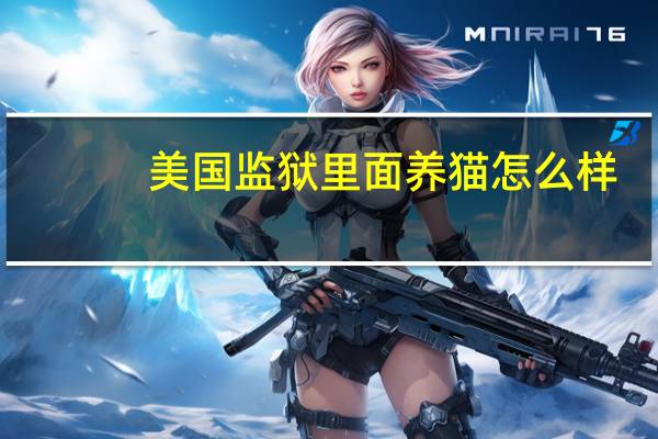 美国监狱里面养猫怎么样