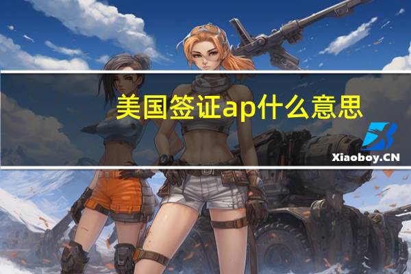 美国签证ap什么意思