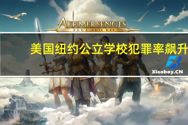 美国纽约公立学校犯罪率飙升:超一半为盗窃案 引发家长担忧