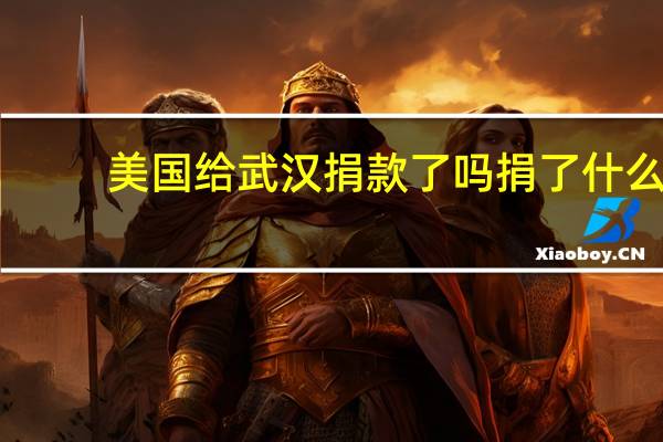 美国给武汉捐款了吗捐了什么