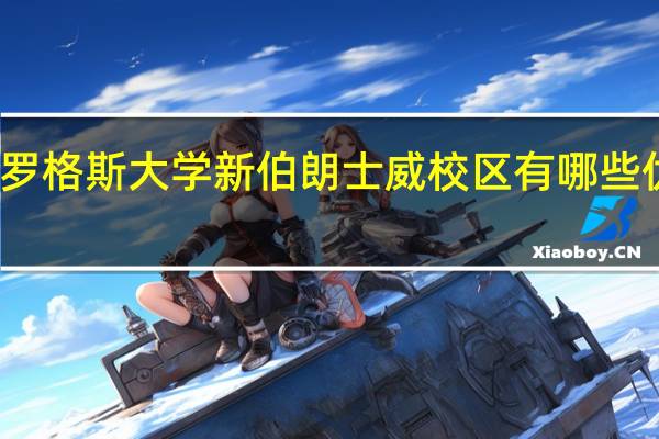 美国罗格斯大学新伯朗士威校区有哪些优势专业啊