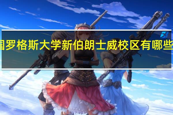 美国罗格斯大学新伯朗士威校区有哪些优势专业