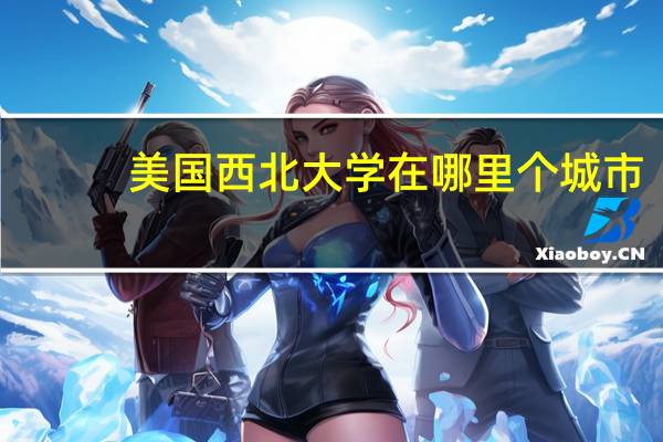 美国西北大学在哪里个城市