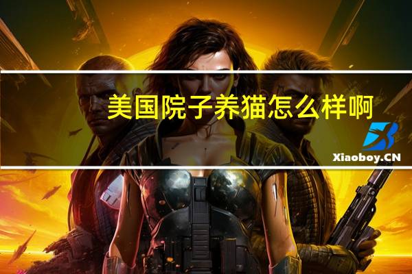 美国院子养猫怎么样啊
