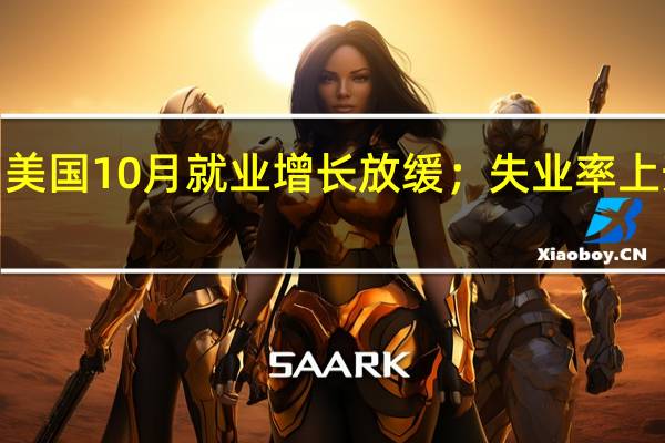 美国10月就业增长放缓；失业率上升至3.9%