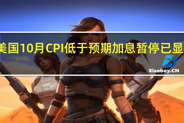 美国10月CPI低于预期 加息暂停已显而易见