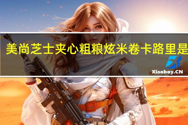 美尚 芝士夹心粗粮炫米卷卡路里是多少