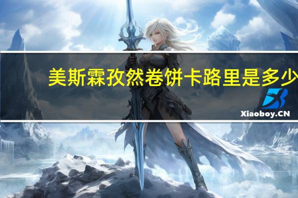 美斯霖 孜然卷饼卡路里是多少
