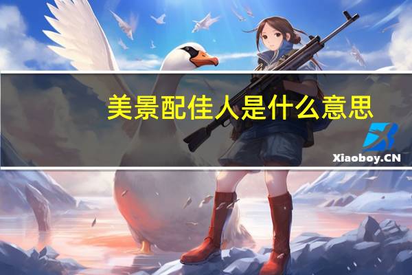 美景配佳人是什么意思