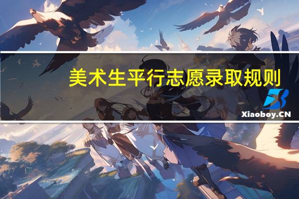 美术生平行志愿录取规则